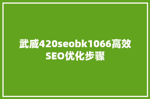 武威420seobk1066高效SEO优化步骤