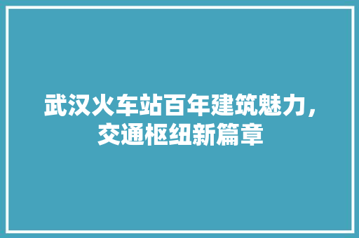 武汉火车站百年建筑魅力，交通枢纽新篇章