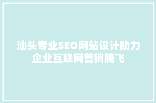 汕头专业SEO网站设计助力企业互联网营销腾飞