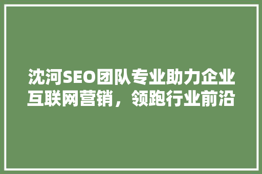 沈河SEO团队专业助力企业互联网营销，领跑行业前沿