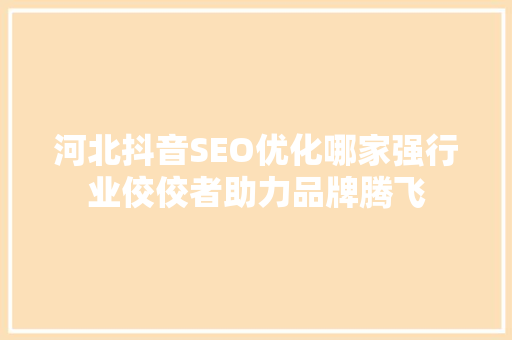 河北抖音SEO优化哪家强行业佼佼者助力品牌腾飞