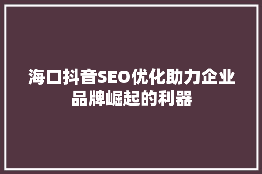 海口抖音SEO优化助力企业品牌崛起的利器