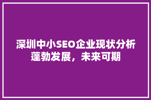 深圳中小SEO企业现状分析蓬勃发展，未来可期