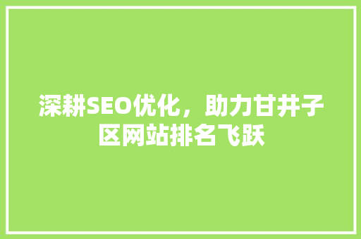 深耕SEO优化，助力甘井子区网站排名飞跃