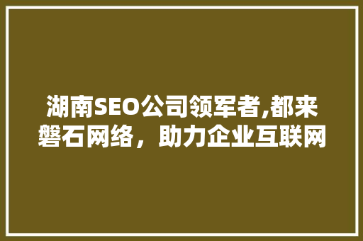湖南SEO公司领军者,都来磐石网络，助力企业互联网营销新篇章