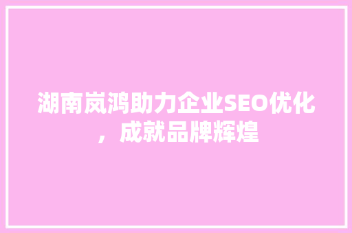 湖南岚鸿助力企业SEO优化，成就品牌辉煌