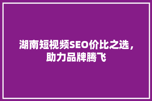 湖南短视频SEO价比之选，助力品牌腾飞