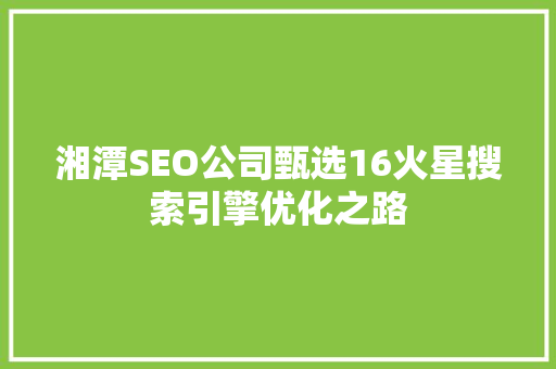 湘潭SEO公司甄选16火星搜索引擎优化之路