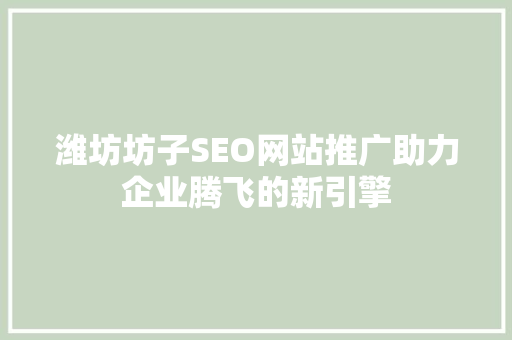 潍坊坊子SEO网站推广助力企业腾飞的新引擎  第1张