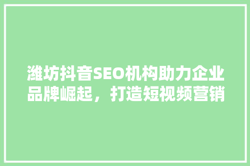 潍坊抖音SEO机构助力企业品牌崛起，打造短视频营销新格局