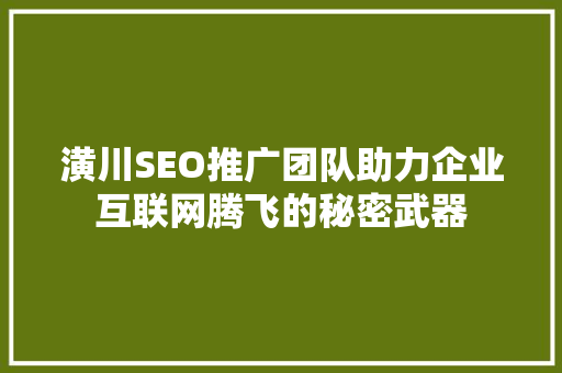 潢川SEO推广团队助力企业互联网腾飞的秘密武器  第1张