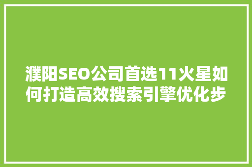 濮阳SEO公司首选11火星如何打造高效搜索引擎优化步骤