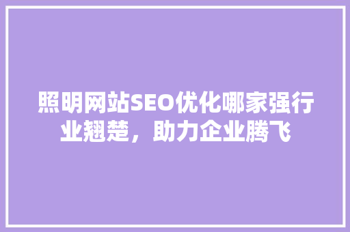 照明网站SEO优化哪家强行业翘楚，助力企业腾飞