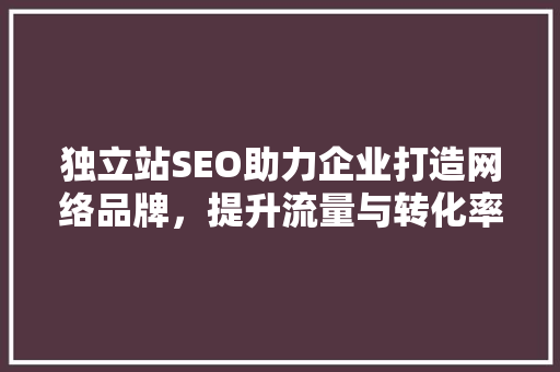 独立站SEO助力企业打造网络品牌，提升流量与转化率
