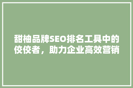甜柚品牌SEO排名工具中的佼佼者，助力企业高效营销