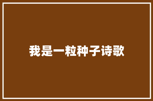 元组编程之美，数据之魂