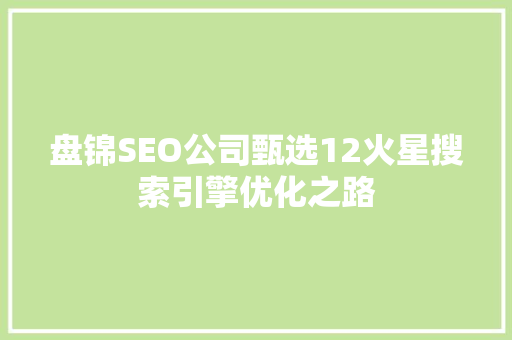 盘锦SEO公司甄选12火星搜索引擎优化之路