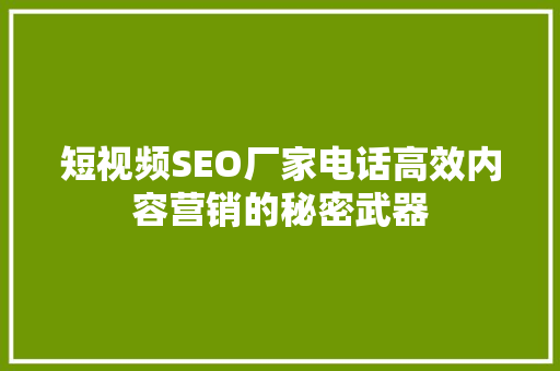 短视频SEO厂家电话高效内容营销的秘密武器