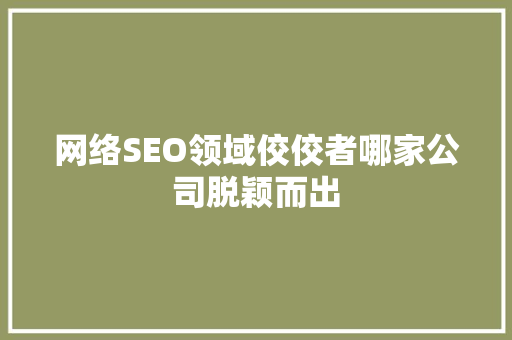 网络SEO领域佼佼者哪家公司脱颖而出