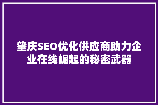 肇庆SEO优化供应商助力企业在线崛起的秘密武器