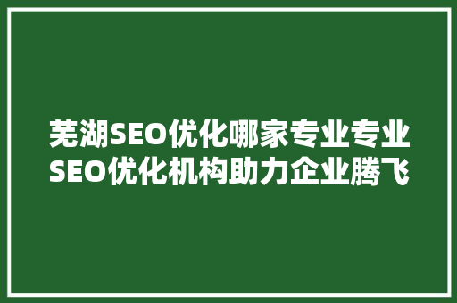芜湖SEO优化哪家专业专业SEO优化机构助力企业腾飞