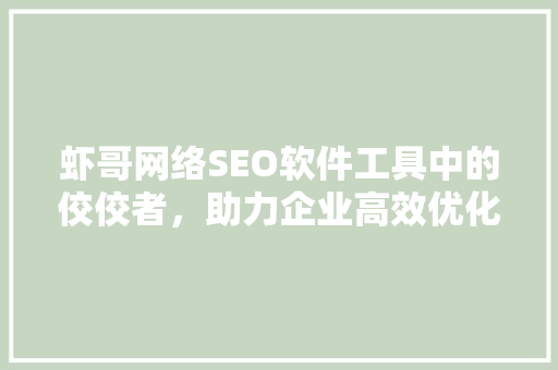 虾哥网络SEO软件工具中的佼佼者，助力企业高效优化网站