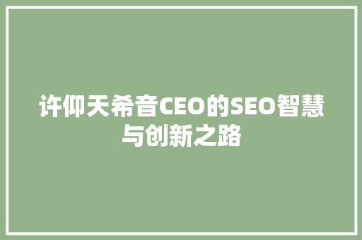 许仰天希音CEO的SEO智慧与创新之路