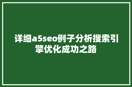 详细a5seo例子分析搜索引擎优化成功之路