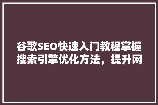 谷歌SEO快速入门教程掌握搜索引擎优化方法，提升网站排名  第1张