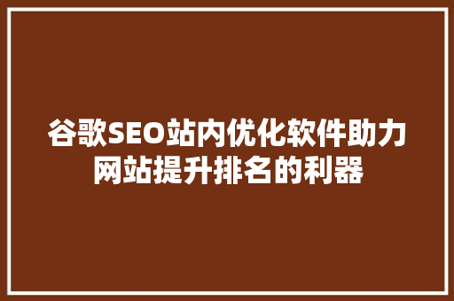 谷歌SEO站内优化软件助力网站提升排名的利器  第1张