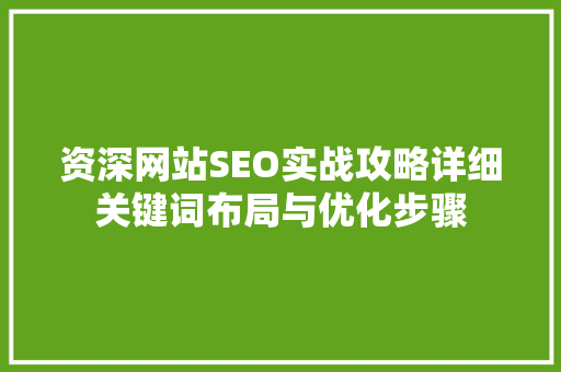 资深网站SEO实战攻略详细关键词布局与优化步骤  第1张