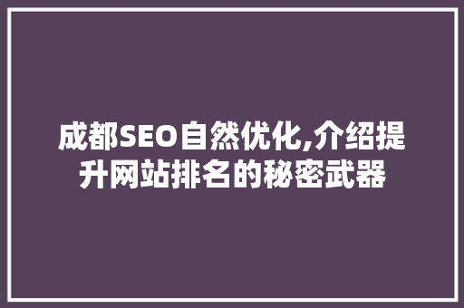 成都SEO自然优化,介绍提升网站排名的秘密武器