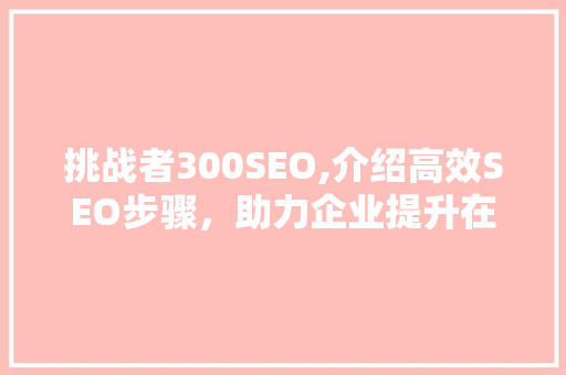挑战者300SEO,介绍高效SEO步骤，助力企业提升在线竞争力