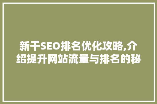 新干SEO排名优化攻略,介绍提升网站流量与排名的秘密武器