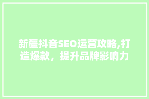 新疆抖音SEO运营攻略,打造爆款，提升品牌影响力