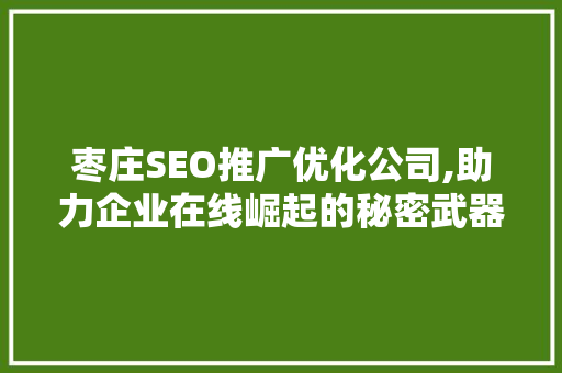 枣庄SEO推广优化公司,助力企业在线崛起的秘密武器