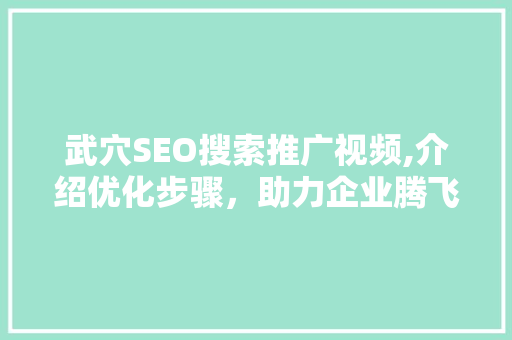 武穴SEO搜索推广视频,介绍优化步骤，助力企业腾飞  第1张