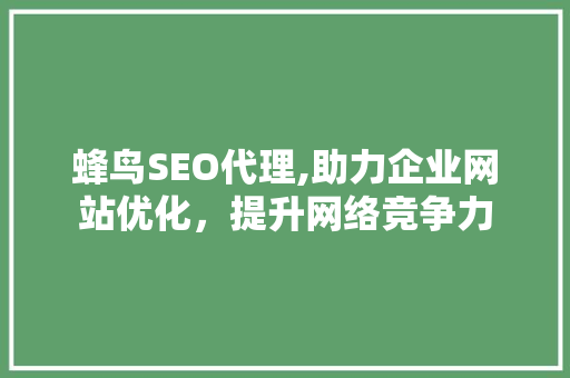 蜂鸟SEO代理,助力企业网站优化，提升网络竞争力