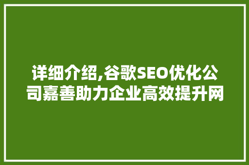 详细介绍,谷歌SEO优化公司嘉善助力企业高效提升网站排名