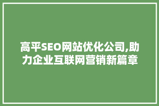 高平SEO网站优化公司,助力企业互联网营销新篇章