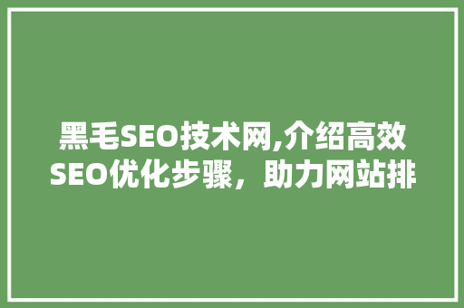 黑毛SEO技术网,介绍高效SEO优化步骤，助力网站排名提升