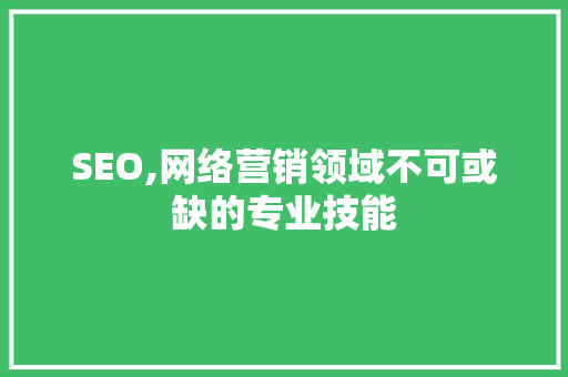 SEO,网络营销领域不可或缺的专业技能