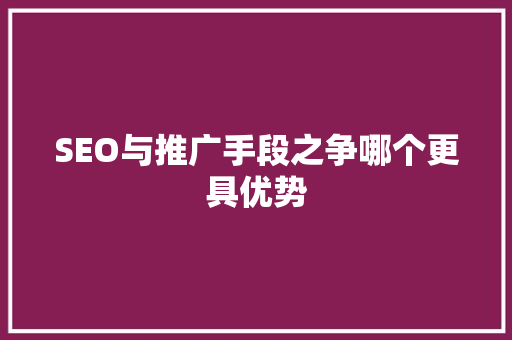 SEO与推广手段之争哪个更具优势