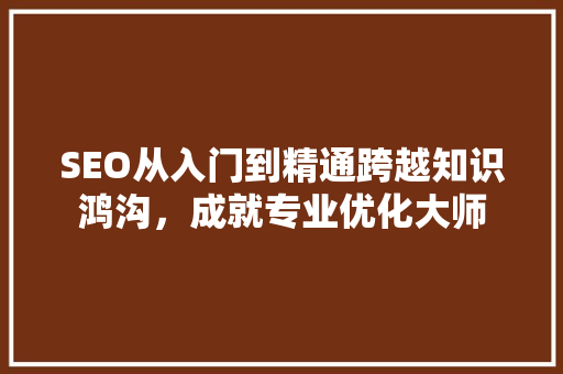 SEO从入门到精通跨越知识鸿沟，成就专业优化大师