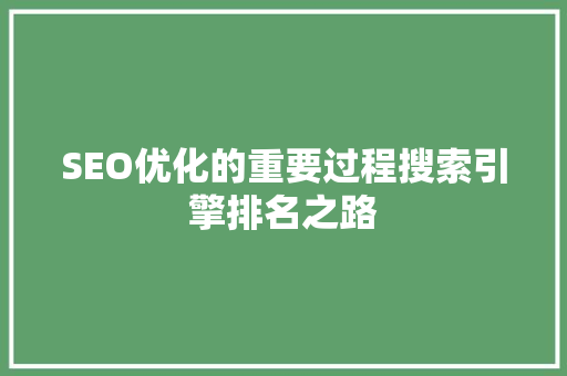 SEO优化的重要过程搜索引擎排名之路
