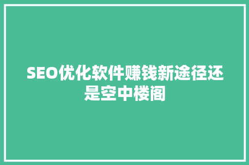 SEO优化软件赚钱新途径还是空中楼阁