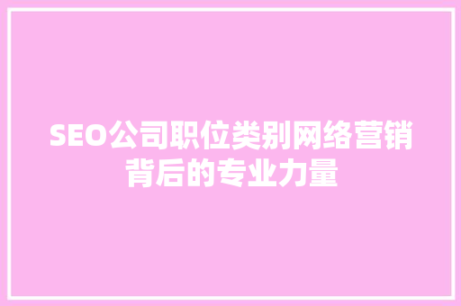 SEO公司职位类别网络营销背后的专业力量