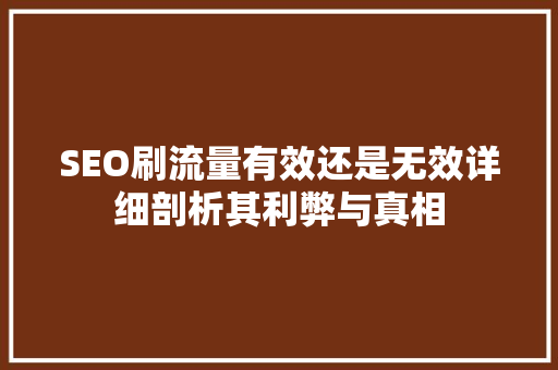 SEO刷流量有效还是无效详细剖析其利弊与真相
