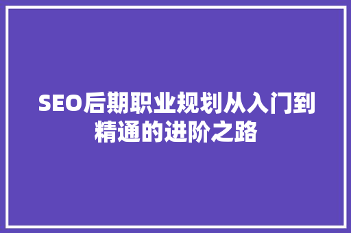 SEO后期职业规划从入门到精通的进阶之路