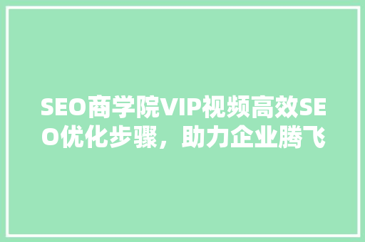 SEO商学院VIP视频高效SEO优化步骤，助力企业腾飞